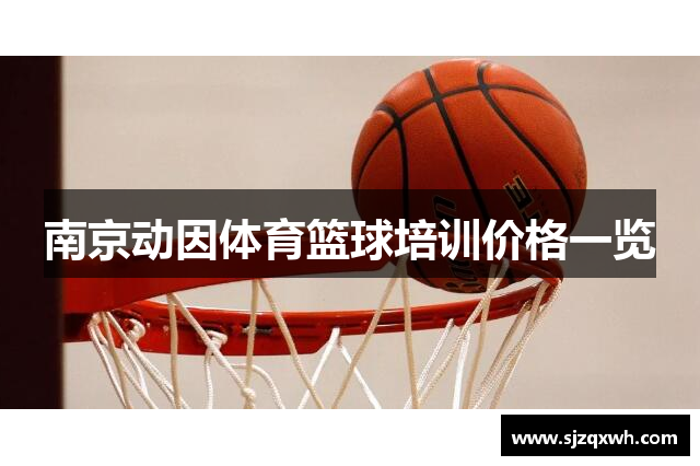 南京动因体育篮球培训价格一览